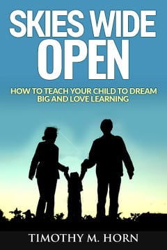 skies wide open book cover